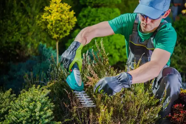 landscaping services Kings Point